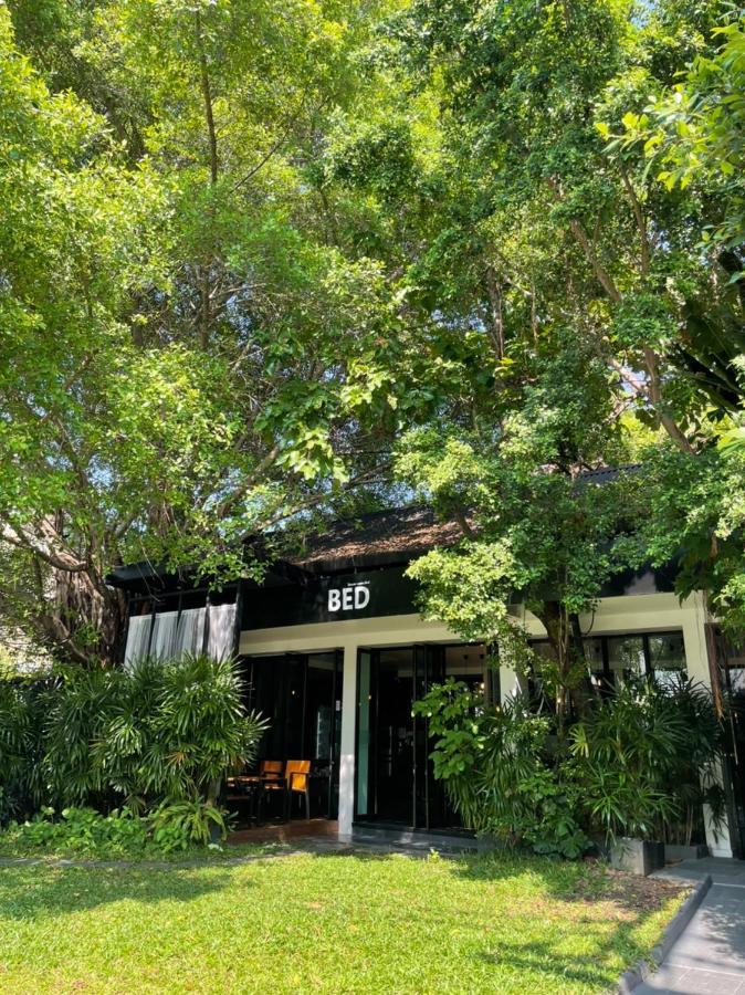 Bed Phrasingh-Adults Only Hotel Chiang Mai Exterior photo